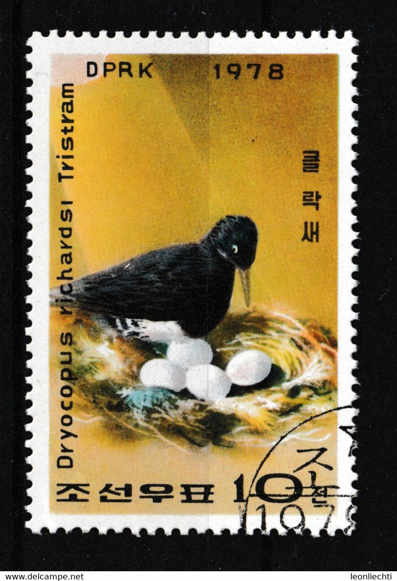 1978 Nord Korea - DPRK  Y&T: 1502°,  Schwarzspecht - Dryocopus Richardsi Tristram - Specht- & Bartvögel