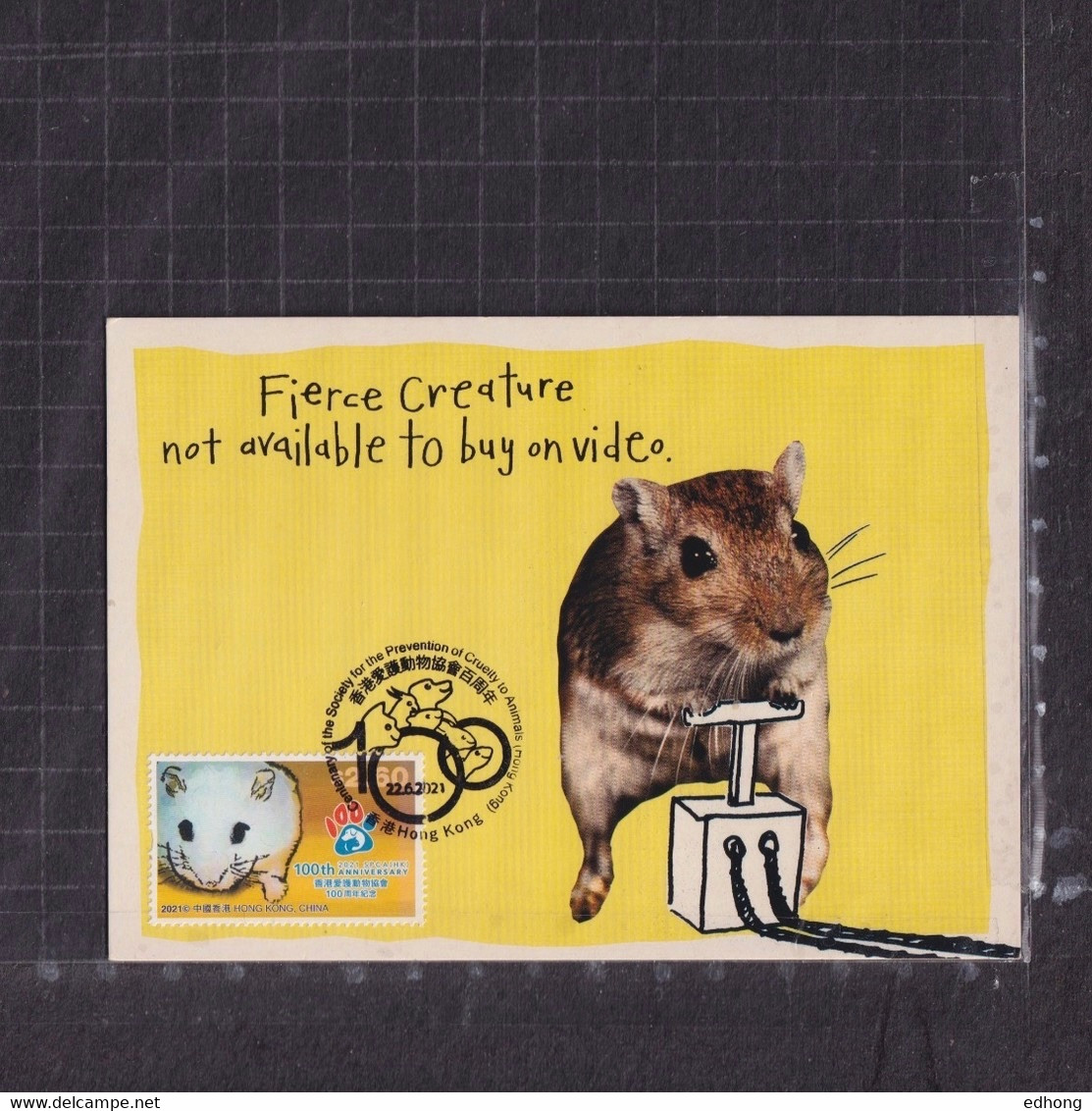 [Carte Maximum / Maximum Card /  Maximumkarte] Hong Kong 2021 | 100th Anniversary Of SPCA (Hong Kong) - Hamster - Cartes-maximum