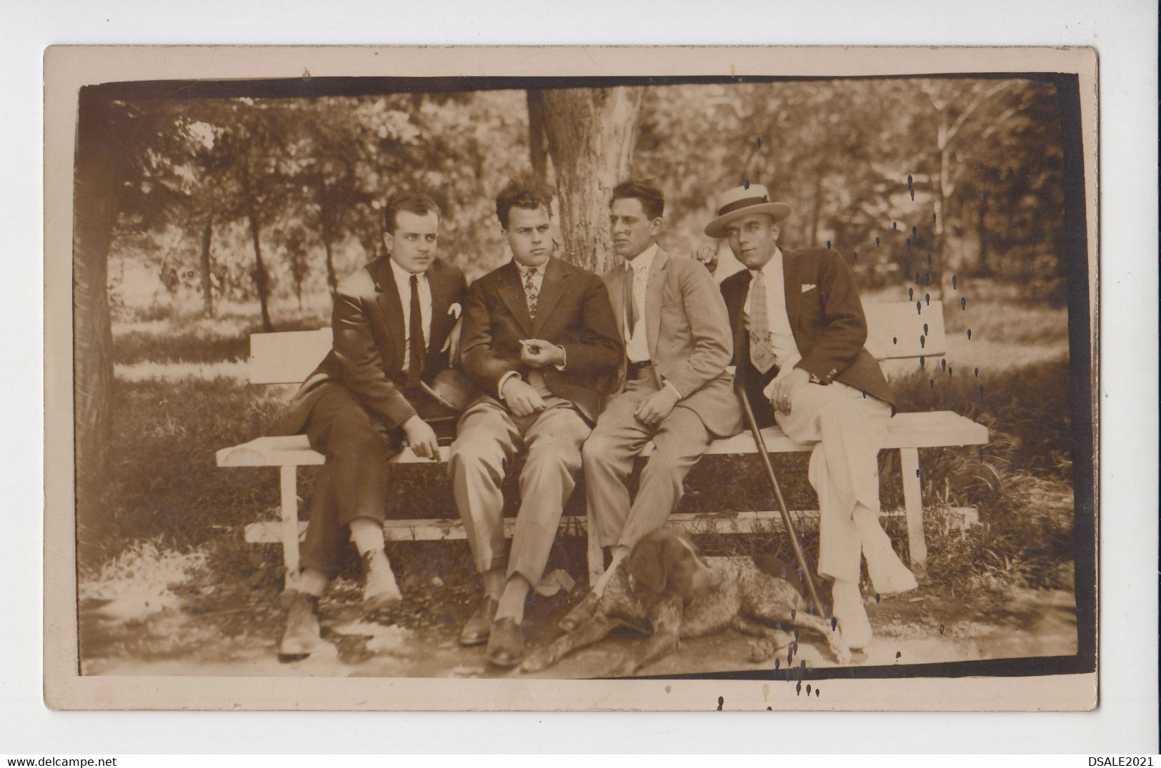 Four Young Men Stylish Guys Closeness Pose On Bench With Dog Vintage 1920s Orig Photo Gay Int. (20221) - Personnes Anonymes