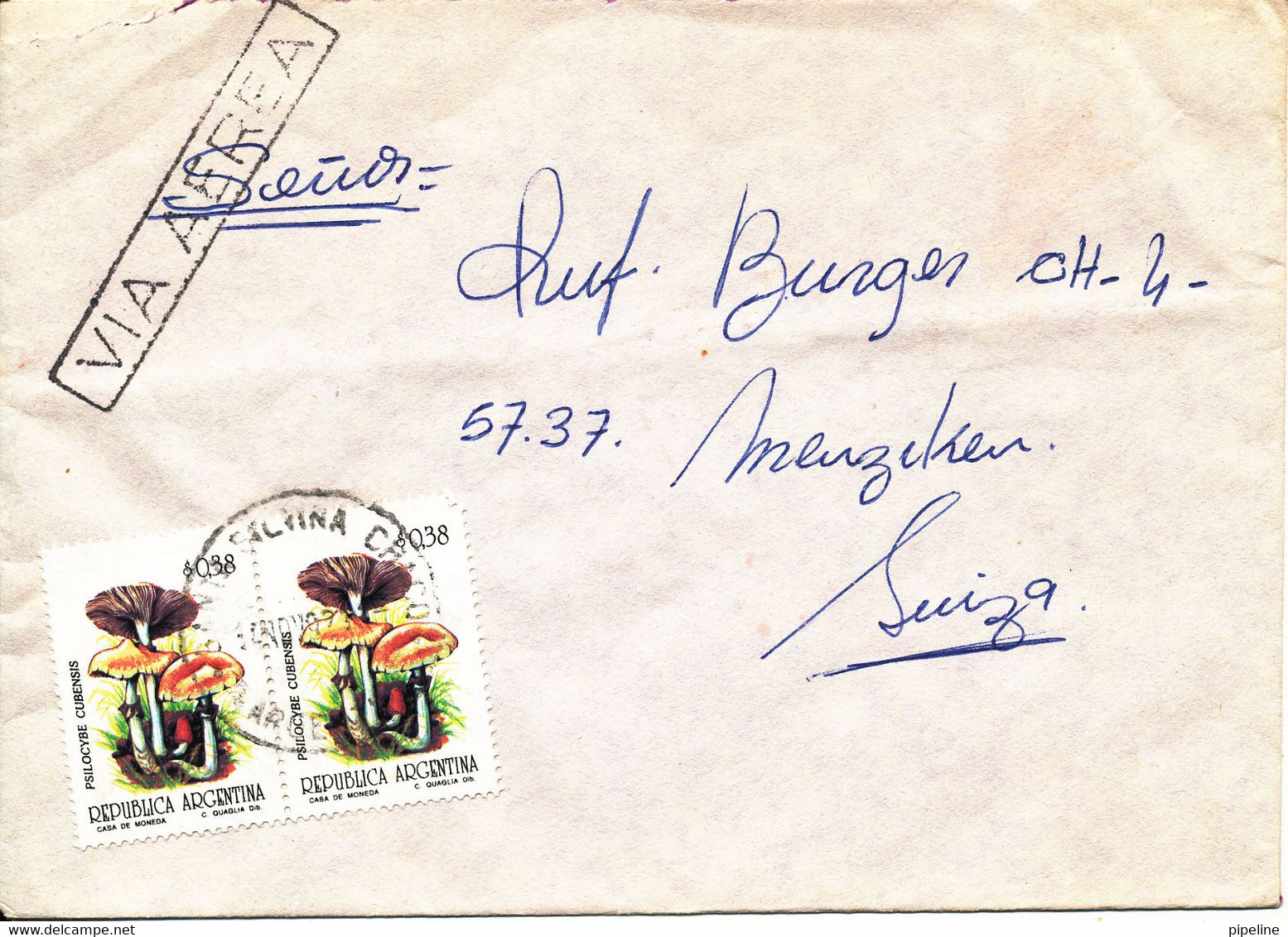 Argentina Cover Sent Air Mail To Switzerland 14-11-1992 Topic Stamps Mushrooms - Cartas & Documentos