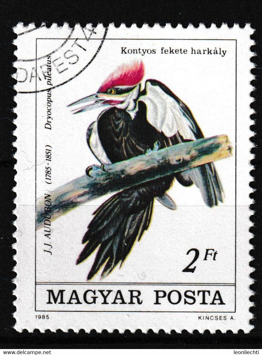 1985 Ungarn - Magyar MI: 3761° / Y&T: 2985°, Dryocopus Pileatus - Helmspecht - Spechten En Klimvogels