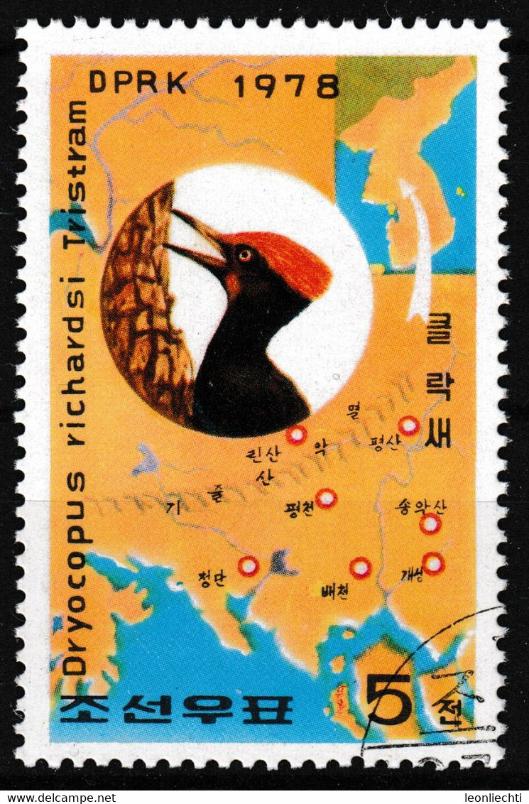 1978Nord Korea - DPRK MI: 1790° / Y&T: 1502°,  Dryocopus Richardsi - Weissbauchspecht - Piciformes (pájaros Carpinteros)