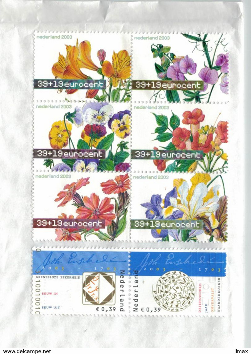 Blumen Veilchen Viola - Wicke Vicia Craccae - Nelke - Iris - Ungestempelt Auf BST - Storia Postale