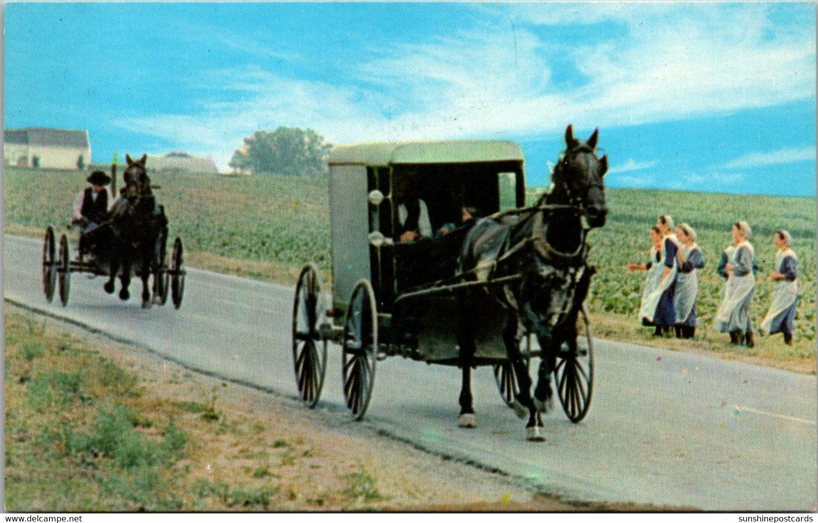 Pennsylvania Greetings From Amish Country An Amish Family Carriage - Lancaster