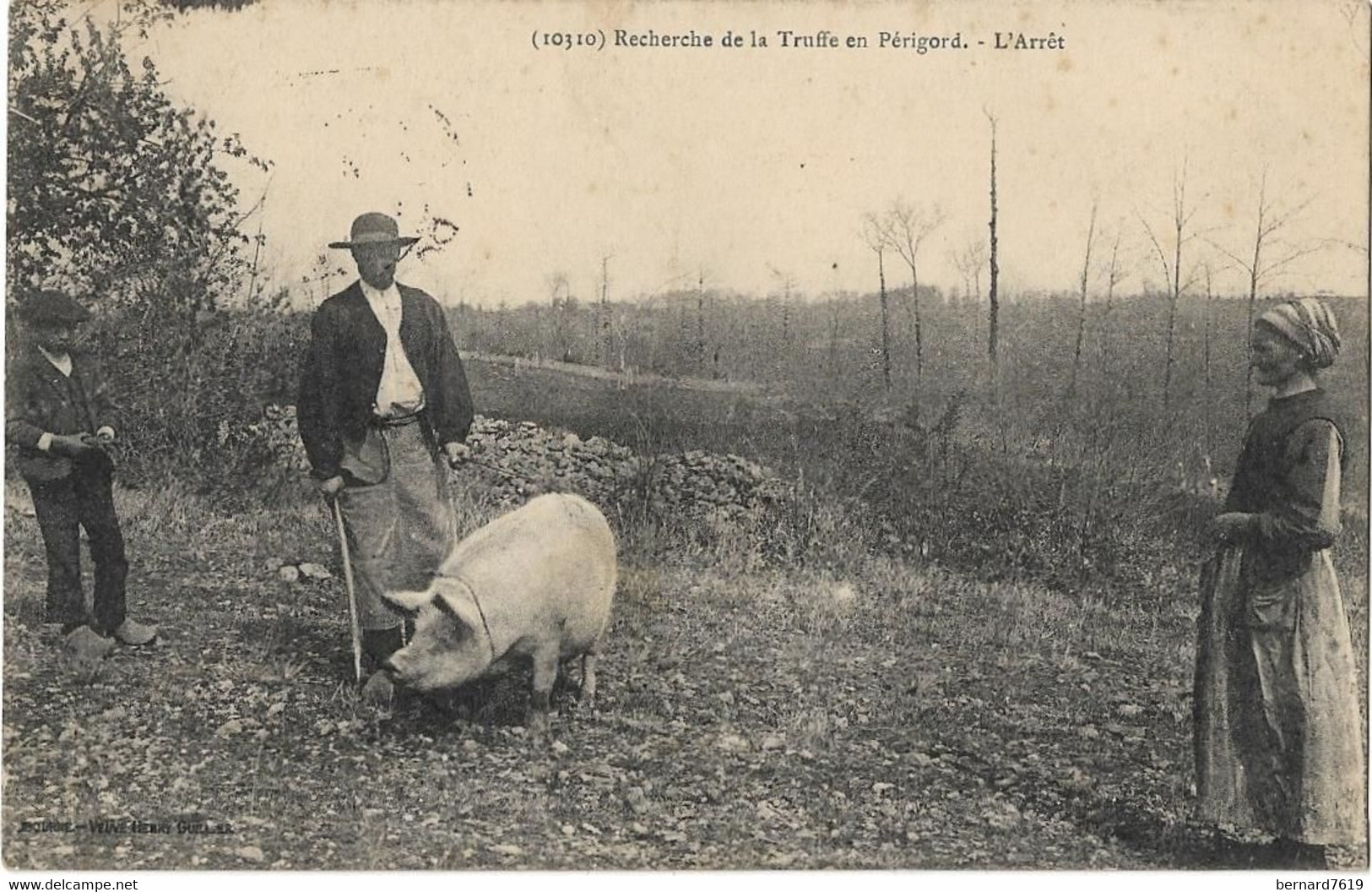 Agriculture -  Perigord  -  Recherche  De La Truite En Perigord - L'arret - Cachet De Perigueux - Attelages