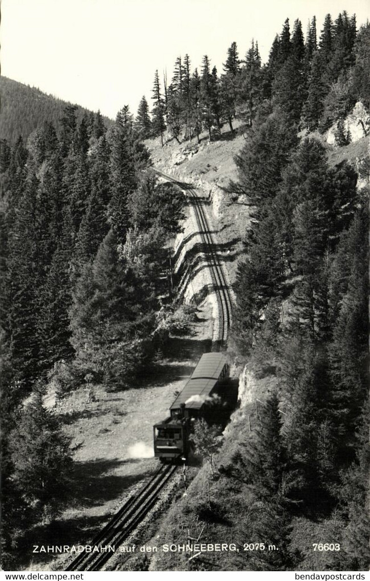 Austria, Zahnradbahn Auf Den Schneeberg, Rack Railway Train, RPPC Postcard - Schneeberggebiet