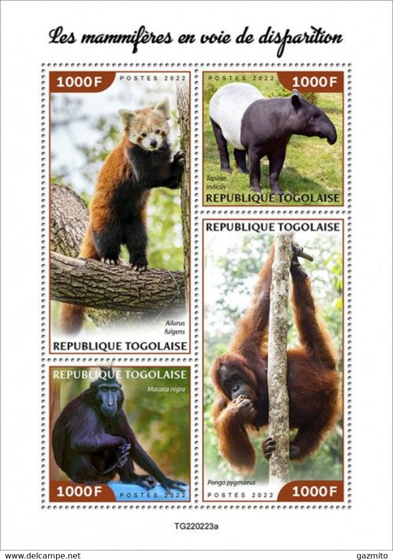 Togo 2022, Animals In Danger, Panda, Monkey, 4val In BF - Gorilles