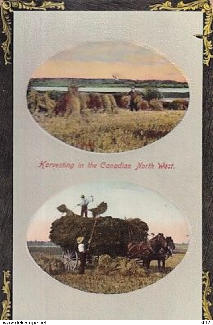 HARVESTING IN THE CANADIAN NORTH WEST              2 VIEWS - Sonstige & Ohne Zuordnung
