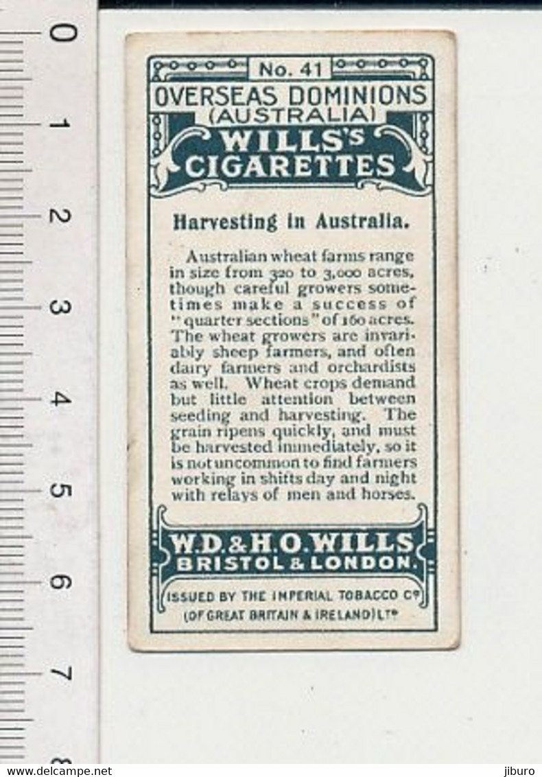 Harvesting Agriculture Récolte Du Blé Moisson Faucheuse-lieuse ?? Attelage Chevaux Australie Australia  88/12 - Wills