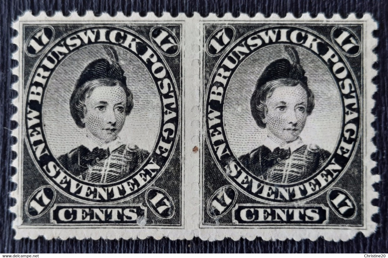 Canada Nouveau-Brunswick 1860/63 N°9 En Paire *TB Cote 110€ - Neufs