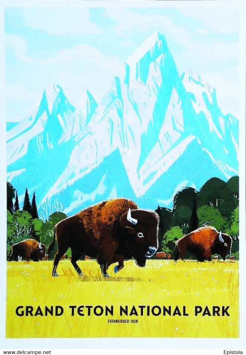 ► GRAND TETON   - NATIONAL PARK -  Wyoming Buffalo - USA National Parks