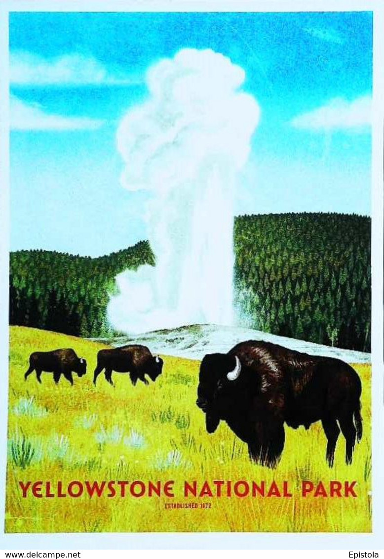 ► YELLOWSTONE   - NATIONAL PARK - Buffalo  Wyoming Montana Idaho - USA Nationale Parken