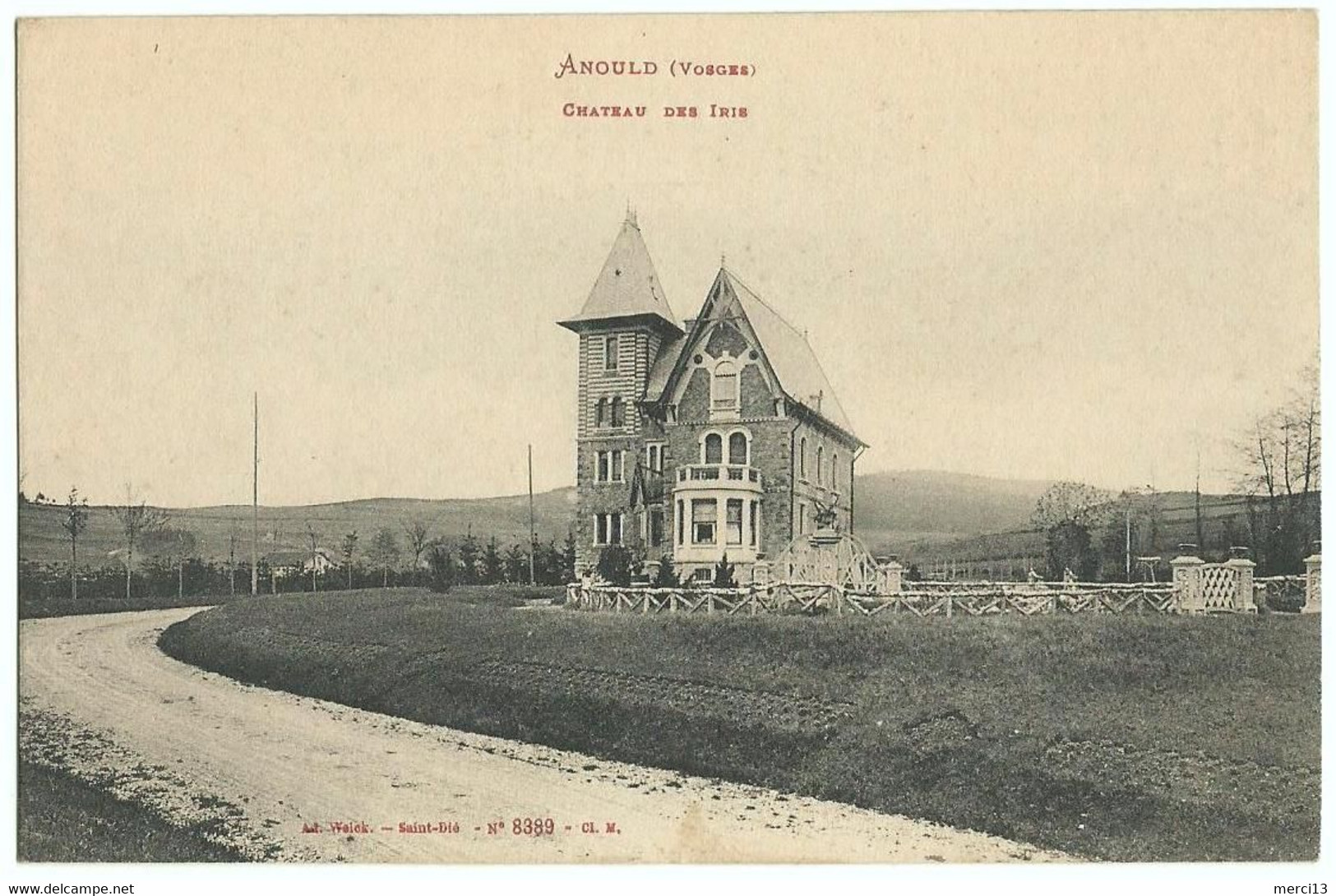 ANOULD (88) – Château Des Iris. Editeur Weick, Saint-Dié, N° 8389. - Anould