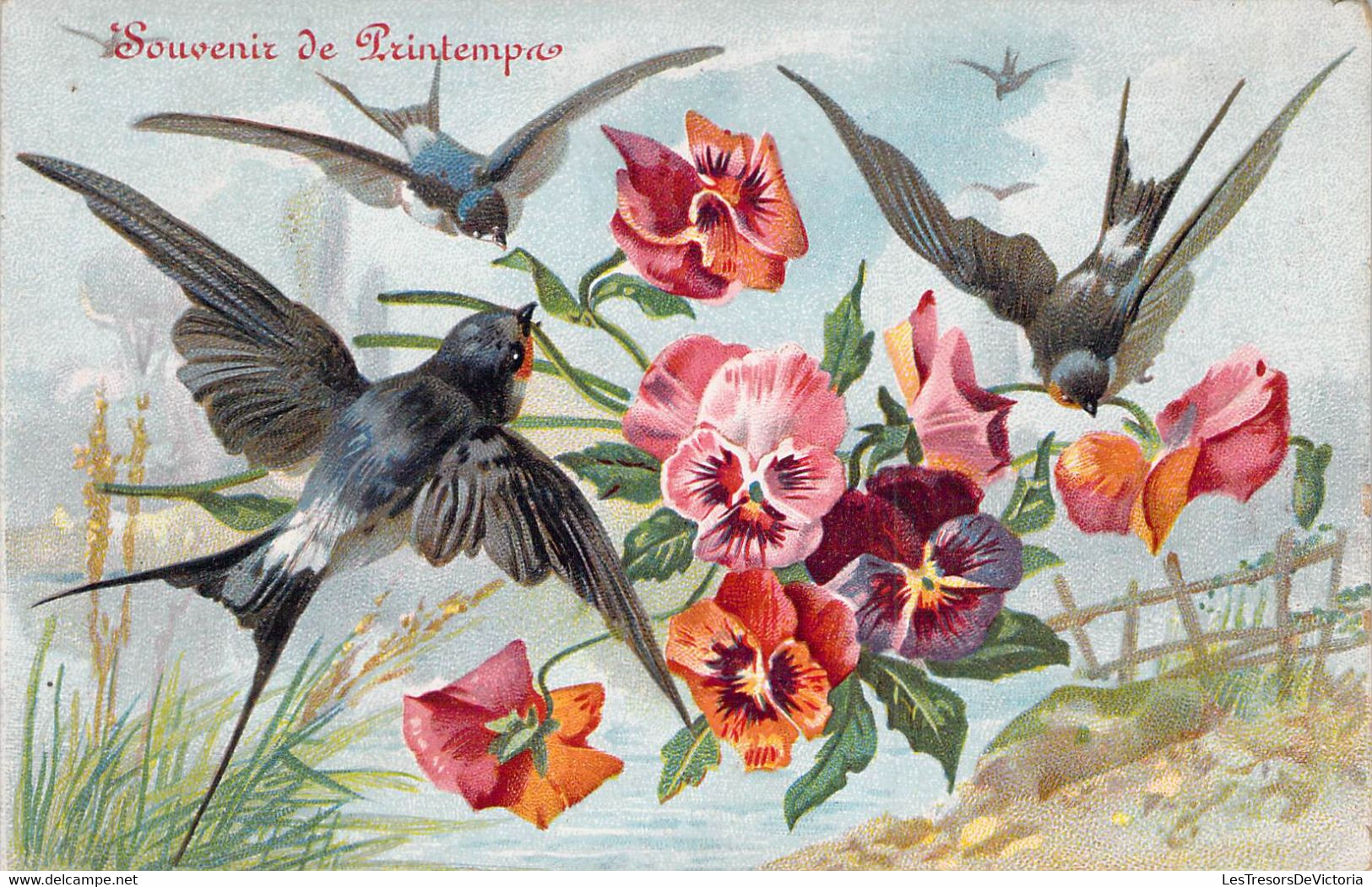 CPA - OSIEAUX - Souvenir De Printemps - Hirondelles Volant Parmis Les Fleurs Violettes - Vogels