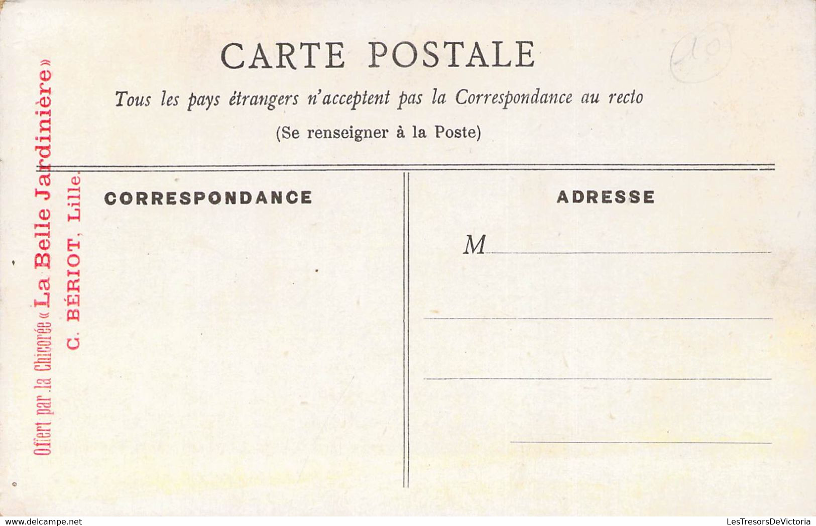 CPA - OSIEAUX - Souvenir De Printemps - Hirondelles Volant Parmis Les Fleurs Violettes - Vogels