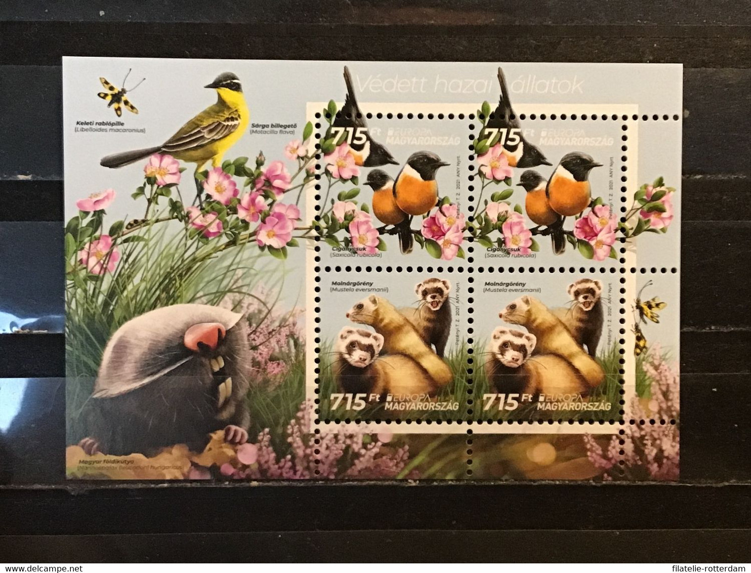 Hongarije / Hungary - Postfris / MNH - Sheet Europa, Bedreigde Dieren 2021 - Unused Stamps