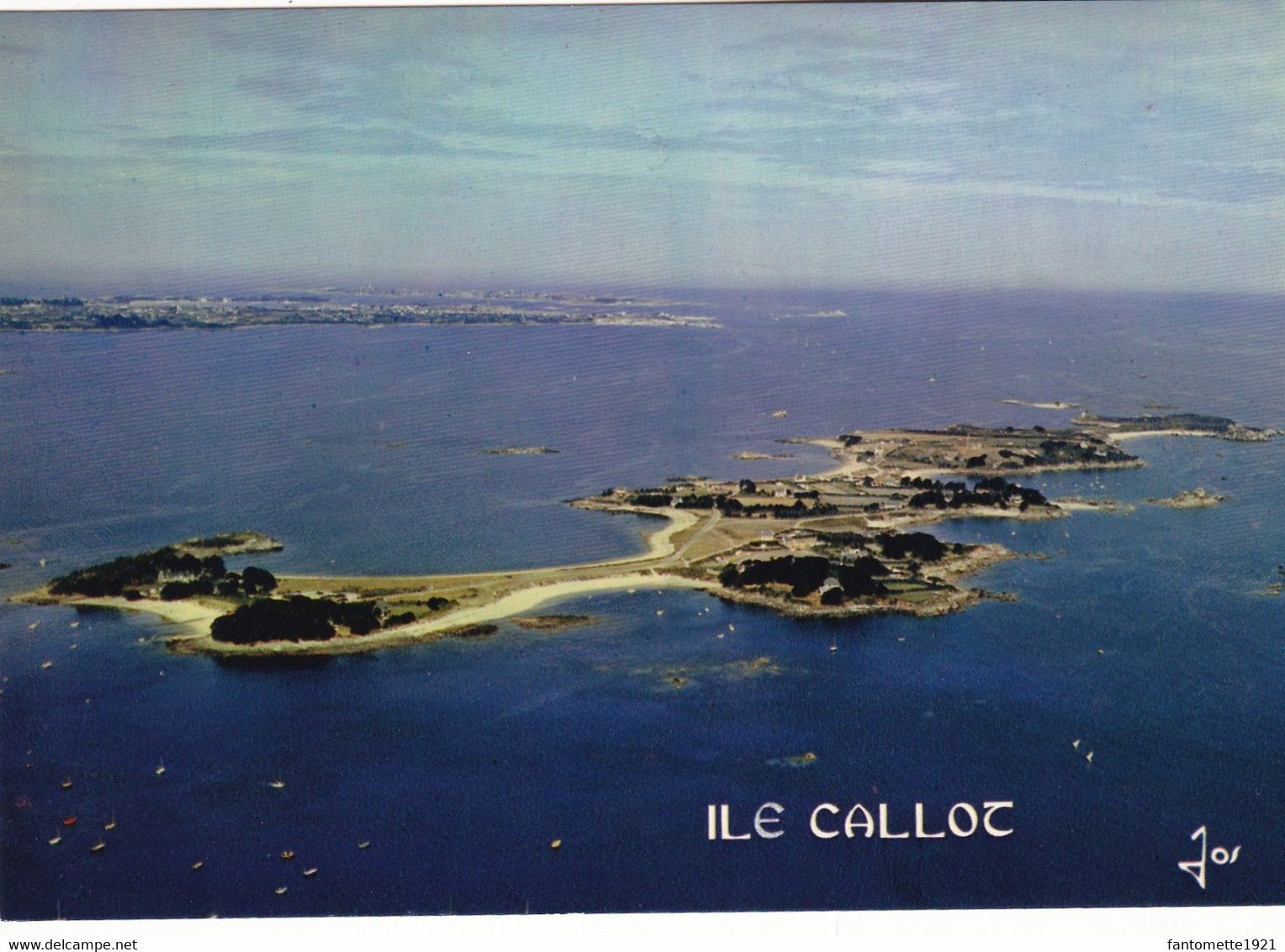 CARANTEC  L'ILE CALLOT (SA) - Carantec