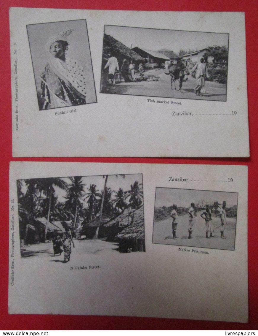 Zanzibar Lot 2 Cpa Multivues - Tanzanie