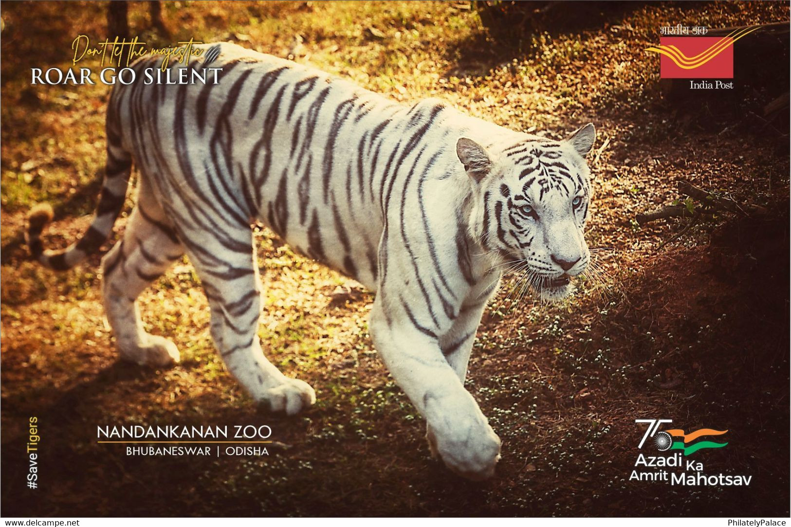 India 2022 Nandankanan Zoological Park , International Tiger Day,  5 Postcards Pack Set + Case , MNH(**) Inde Indien - Covers & Documents