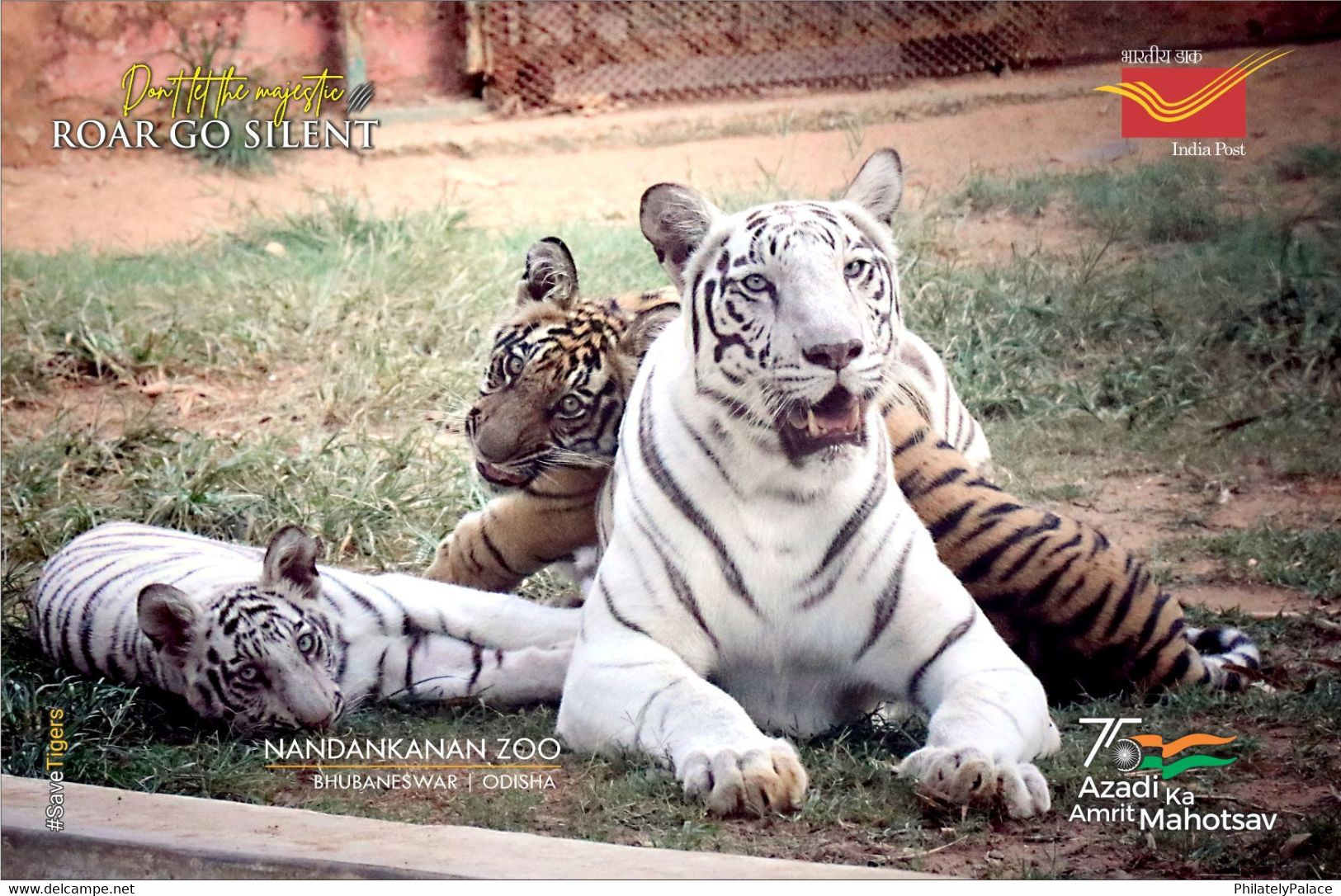 India 2022 Nandankanan Zoological Park , International Tiger Day,  5 Postcards Pack Set + Case , MNH(**) Inde Indien