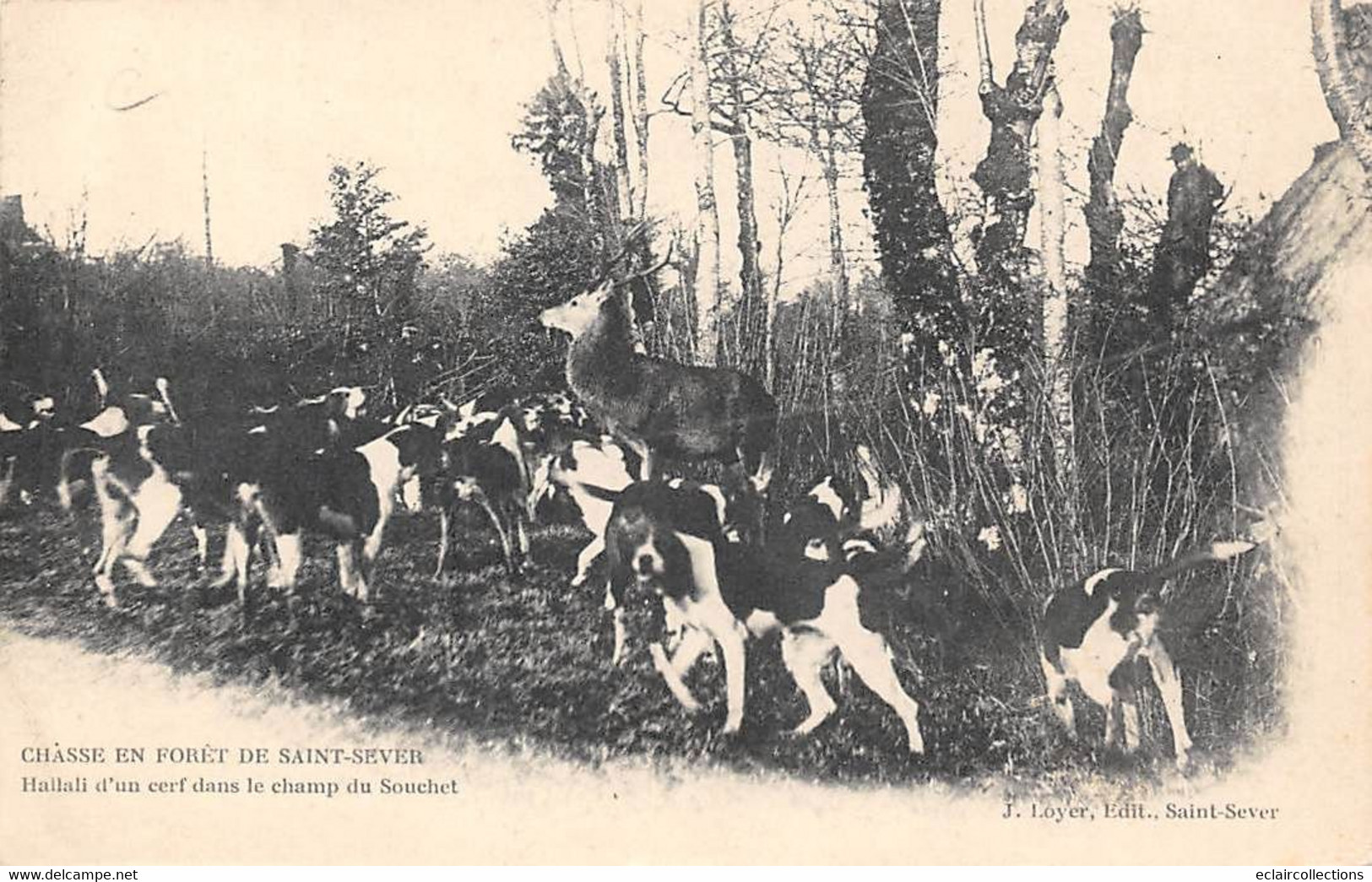 Saint Sever Calvados          14          Chasse à Courre  Hallali D'un Cerf           (voir Scan) - Sonstige & Ohne Zuordnung