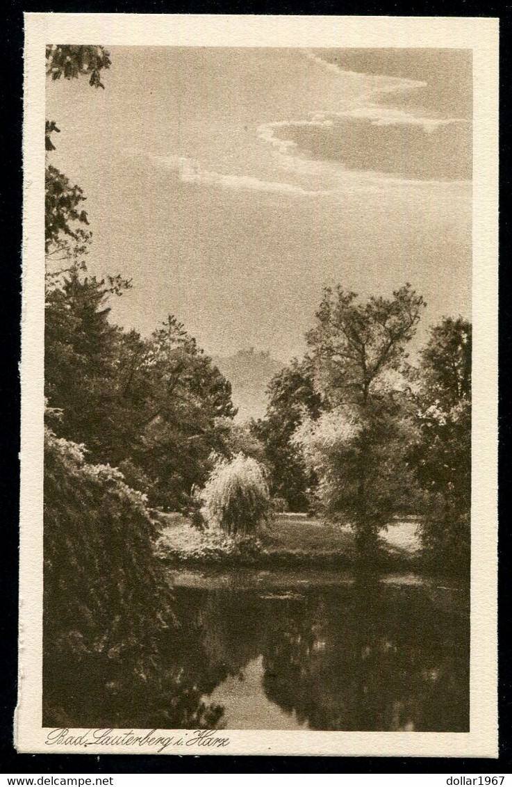 Bad Lauterberg Im Harz , Blick Hausberg Vom Kurpark + 1930 , NOT USED - 2 Scans For Condition.(Originalscan !!) - Bad Lauterberg