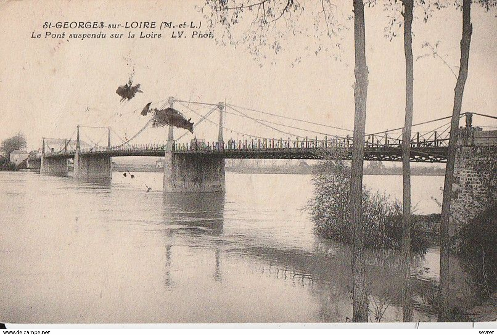 St-GEORGES-sur-LOIRE. - Le Pont Suspendu Sur La Loire. Cliché Pas Courant - Saint Georges Sur Loire