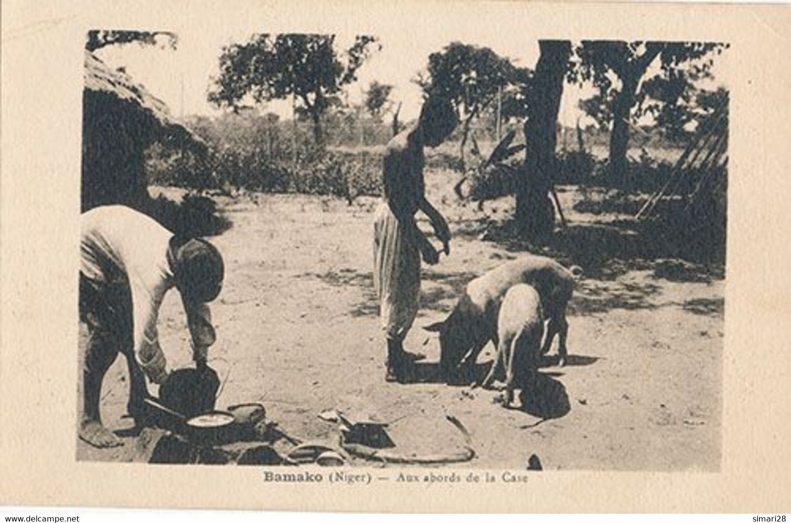 BAMAKO - AUX ABORDS DE LA CASE (COCHONS) - Niger