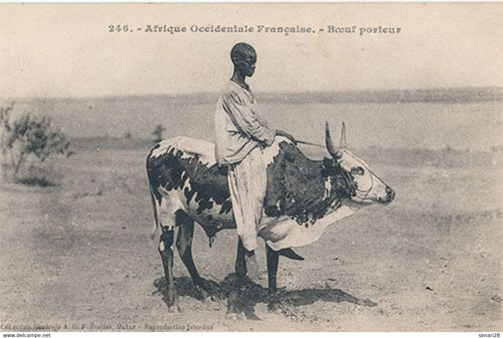 AFRIQUE OCCIDENTALE FRANCAISE - N° 246 - BOEUF PORTEUR - Sudan