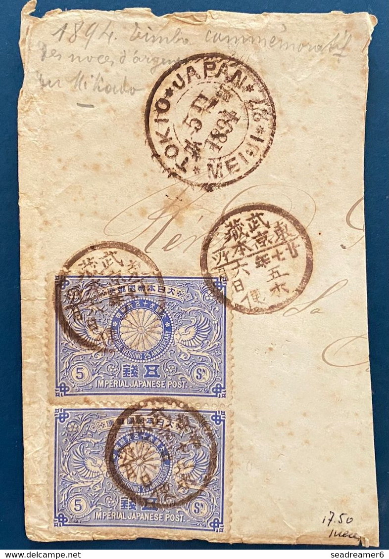 JAPON Demi Lettre Avec Paire Du N°98 5 Sen Bleu (noces D'argent) En Paire Oblitérés Du 5 Juin 1894 De TOKIO - Storia Postale