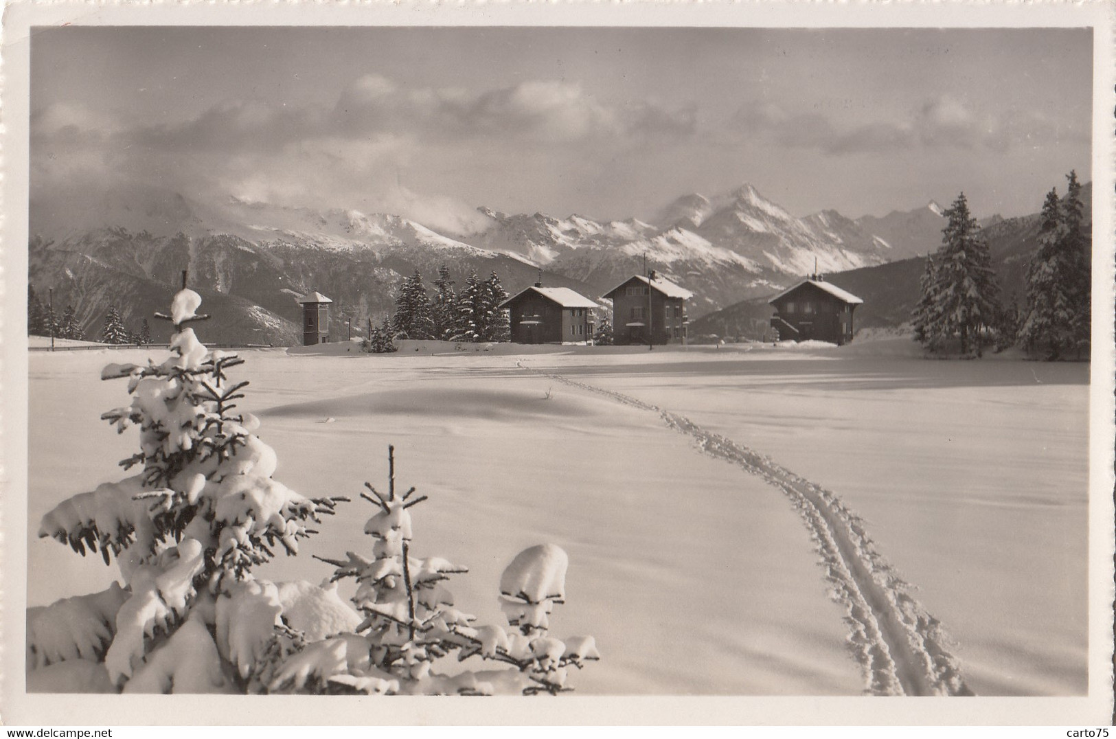 Suisse - Crans-Sur-Sierre - Le Weisshorn Et Le Rothorn - 1955 - Ski Neige - Sierre