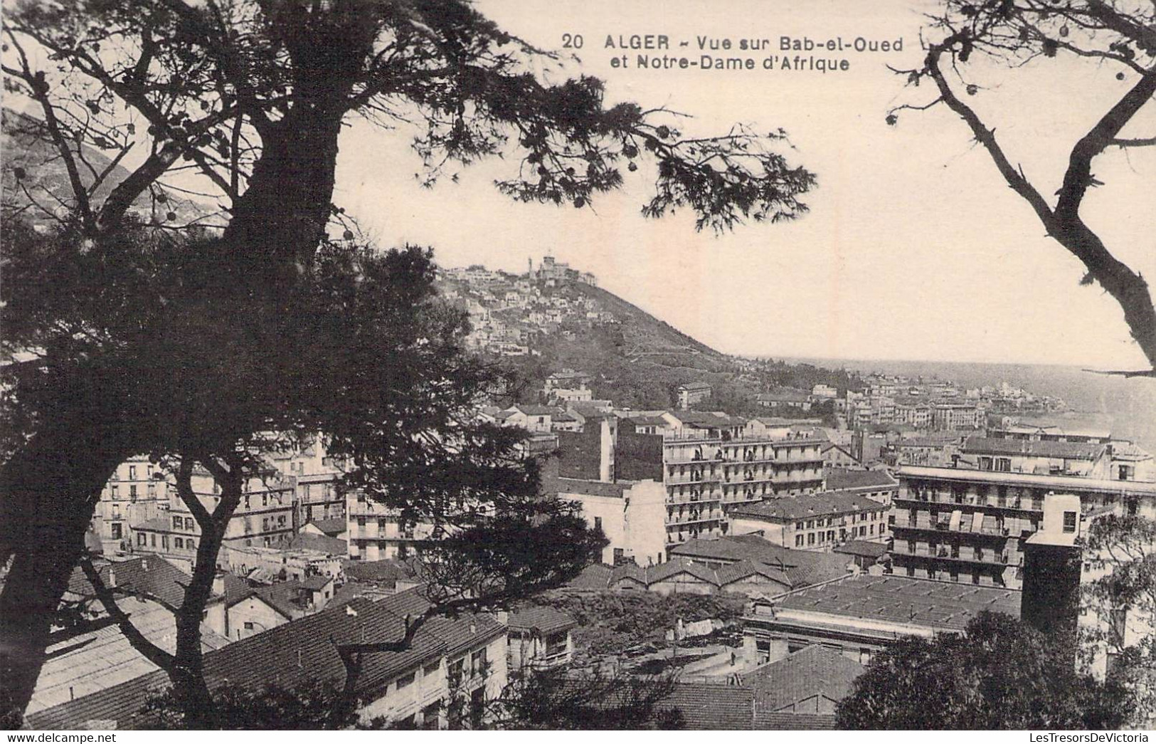 CPA - ALGERIE - ALGER - Vue Sur Bab El Oued Et Notre Dame D'Afrique - Collection Idéale - Algiers