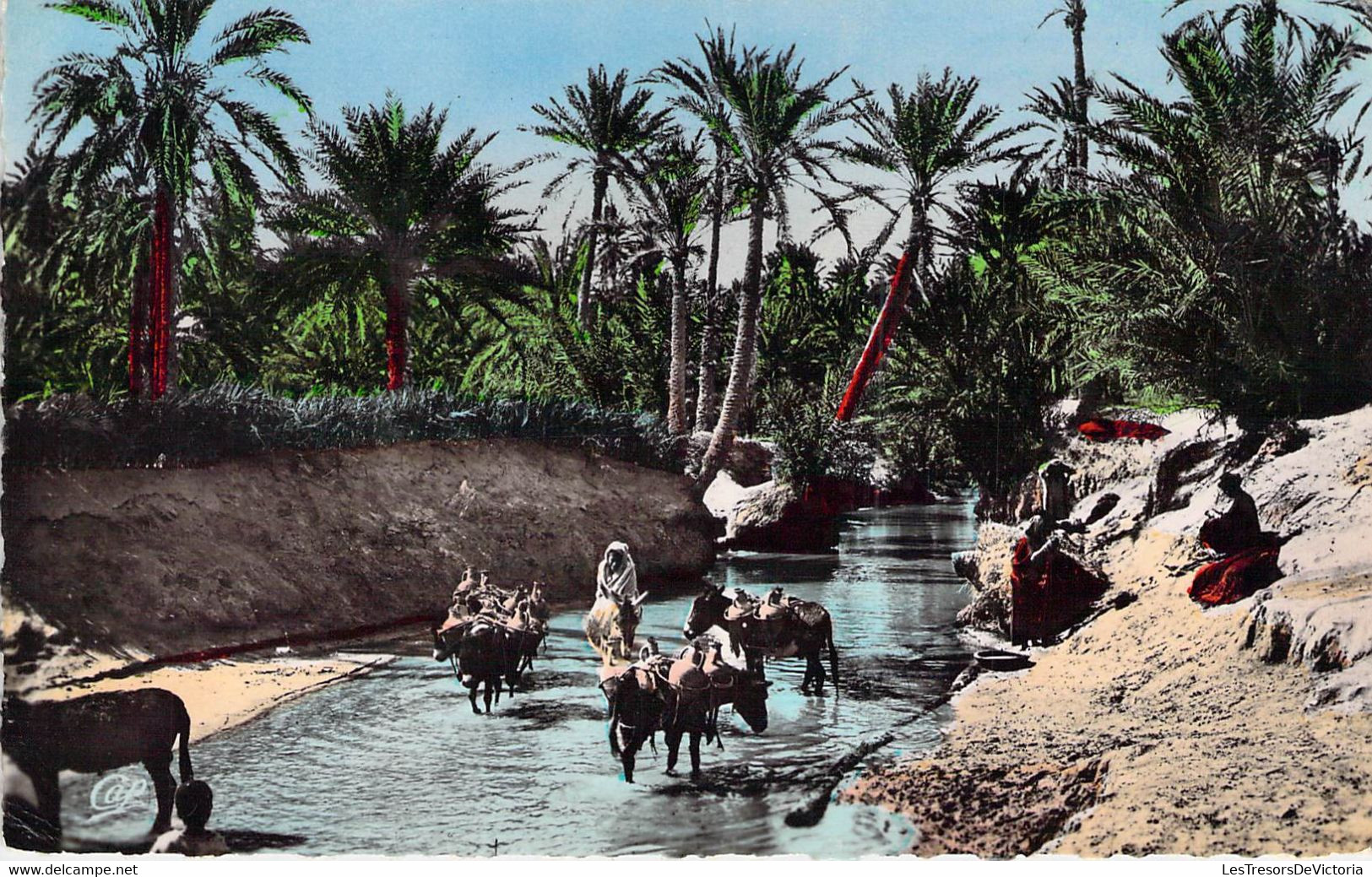 CPA - ALGERIE - Scenes Et Types - Un Oued Dans L'Oasis - C I P Paris - Colorisée - Plaatsen