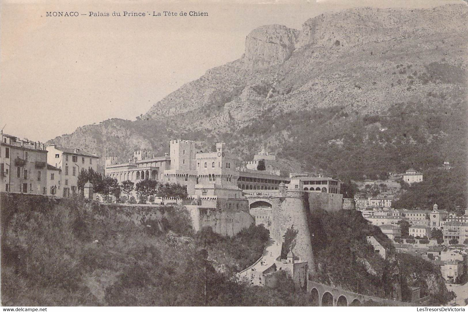 CPA - Monaco - Palais Du Prince - La Tête Du Chien - Dos Non Divisé - Prinselijk Paleis