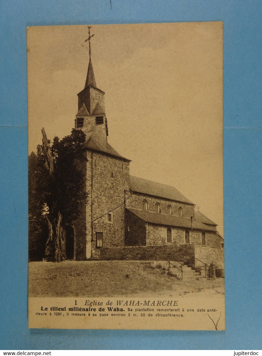 Eglise De Waha-Marche Le Tilleul Millénaire De Waha. Sa Plantation Remonterait... - Marche-en-Famenne