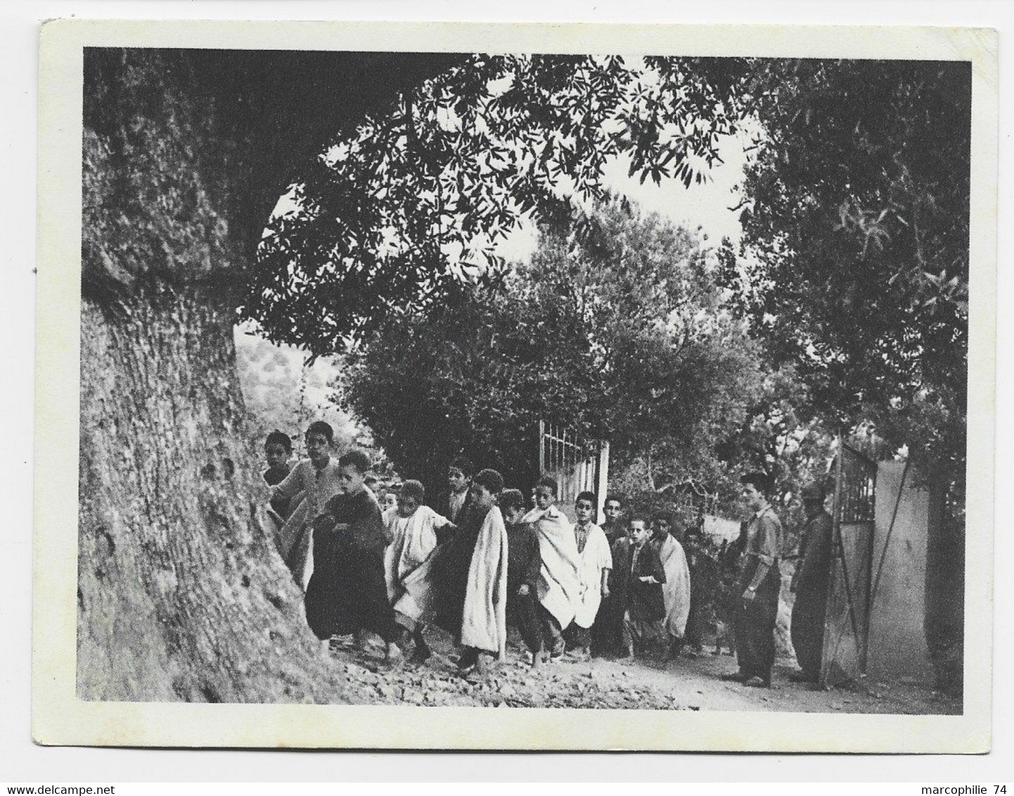 GUERRE ALGERIE CARTE FM NEUVE ENFANTS KABYLES - Guerre D'Algérie