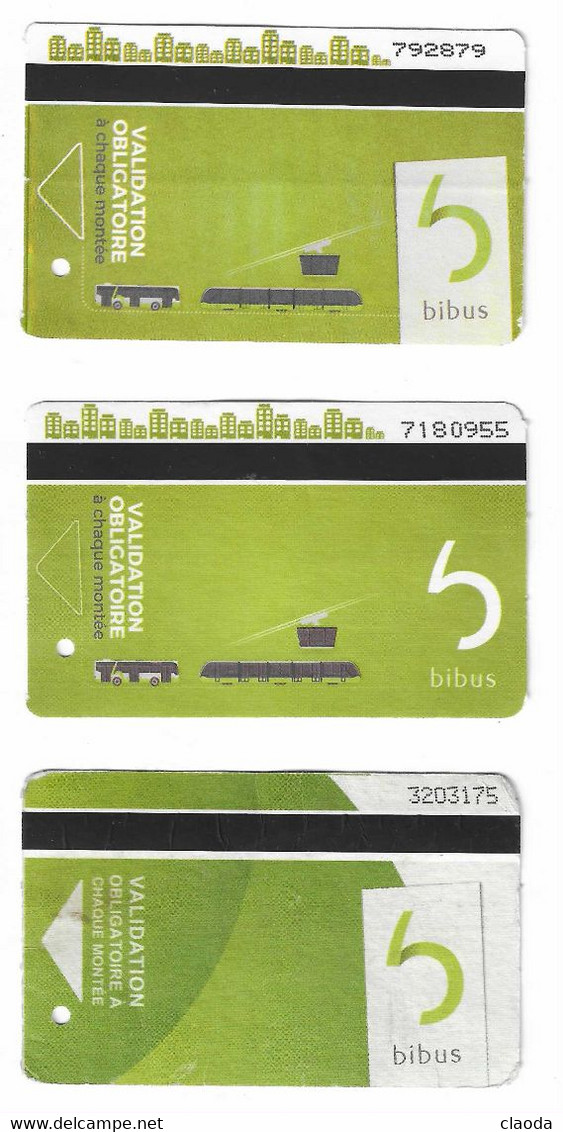 195 T - 3 TICKETS DIFFERENTS - BREST BIBUS - (TICKET  VERT  ) BUS - TRAMWAY Et TELEPHERIQUE - Europe