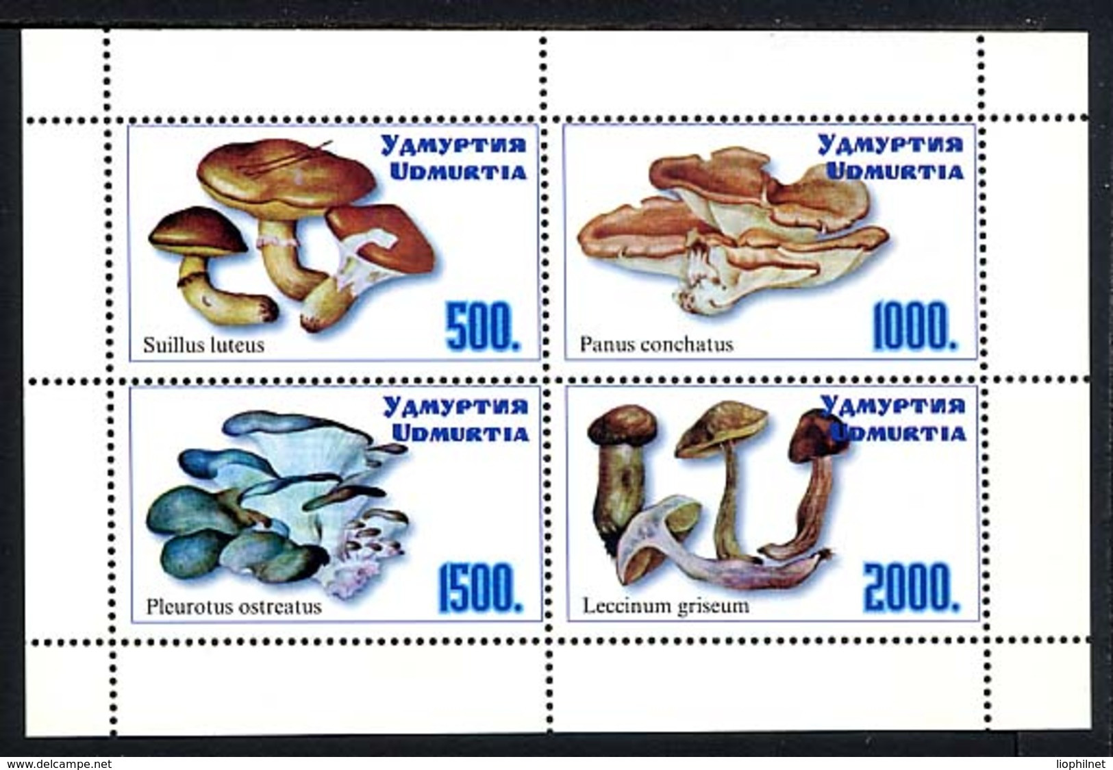 RUSSIE Udmurtia 2000, CHAMPIGNONS / MUSHROOMS, Feuillet De 4 Valeurs, Neuf / Mint. R246 - Fantasy Labels