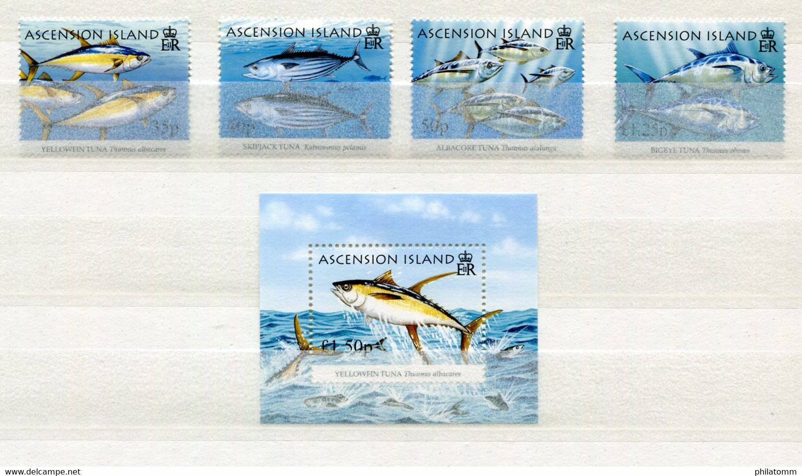 Ascension - Block Nr. 57 Und Mi.Nr. 953 / 956 - "Thunfische" ** / MNH (aus Dem Jahr 2005) - Ascension