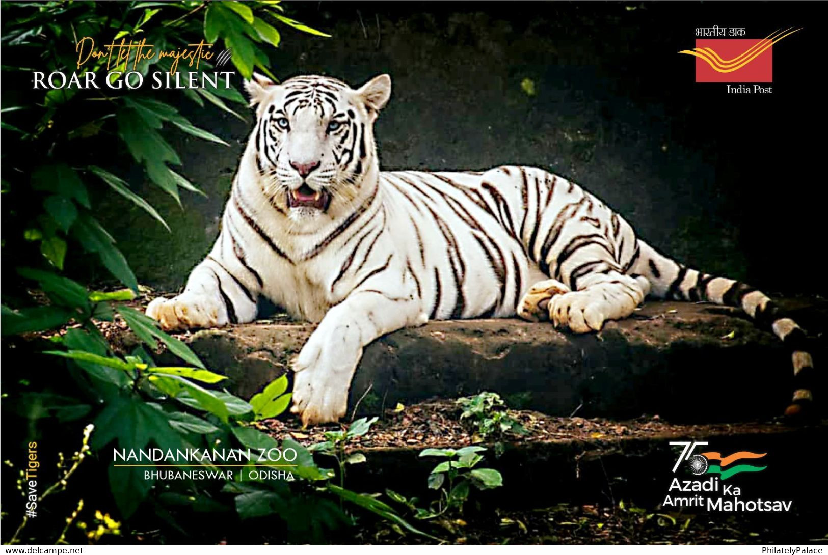 India 2022 Nandankanan Zoological Park , International Tiger Day,  (1/5) Postcard , MNH(**) Inde Indien - Brieven En Documenten