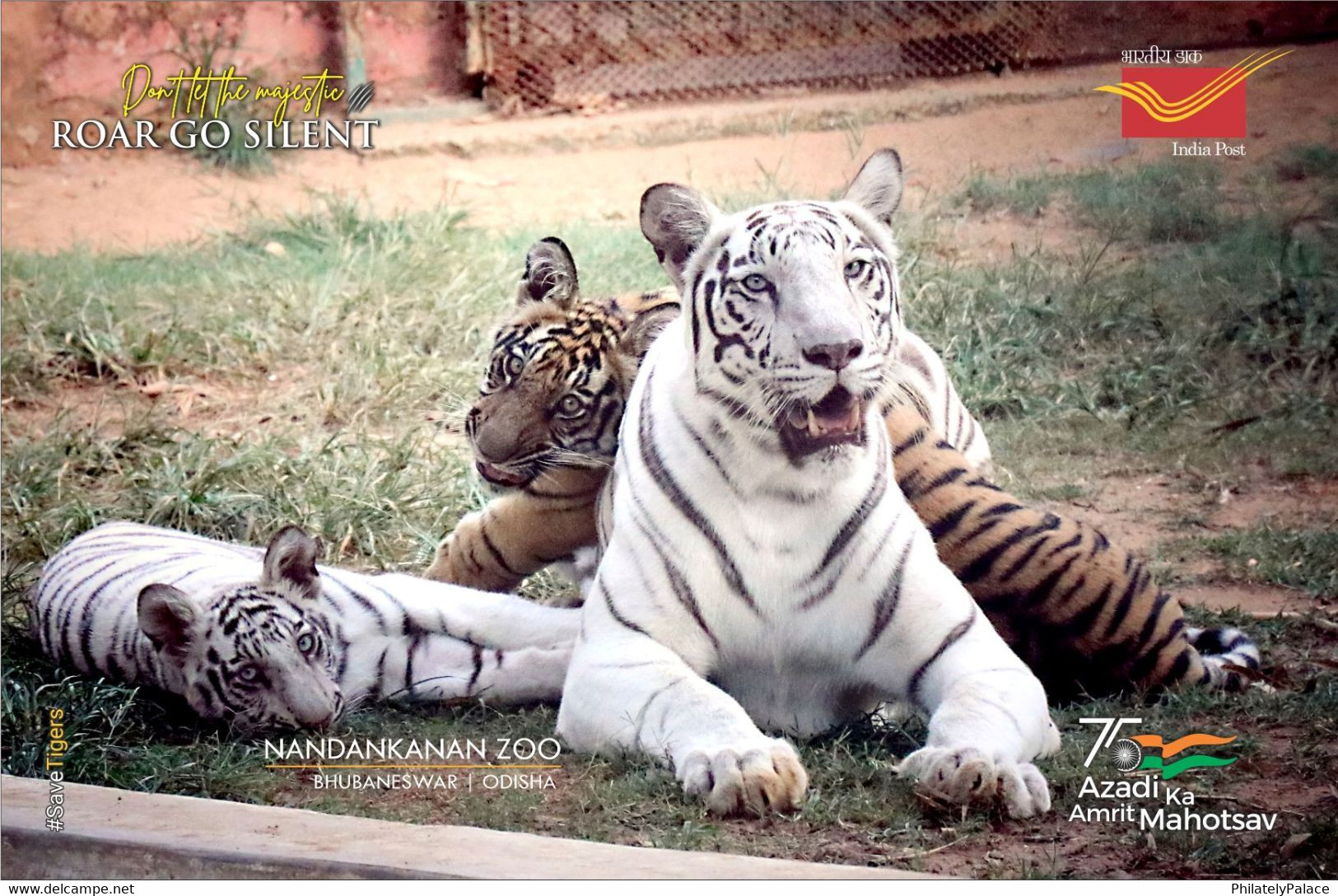 India 2022 Nandankanan Zoological Park , International Tiger Day,  (3/5) Postcard , MNH(**) Inde Indien - Brieven En Documenten