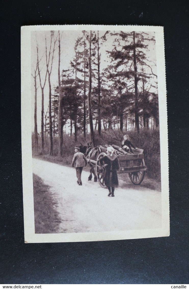 S-L-2 / Liège - Neupre,  Plainevaux - Retour Du Bois (animée D'un Attelage)  / - Neupre