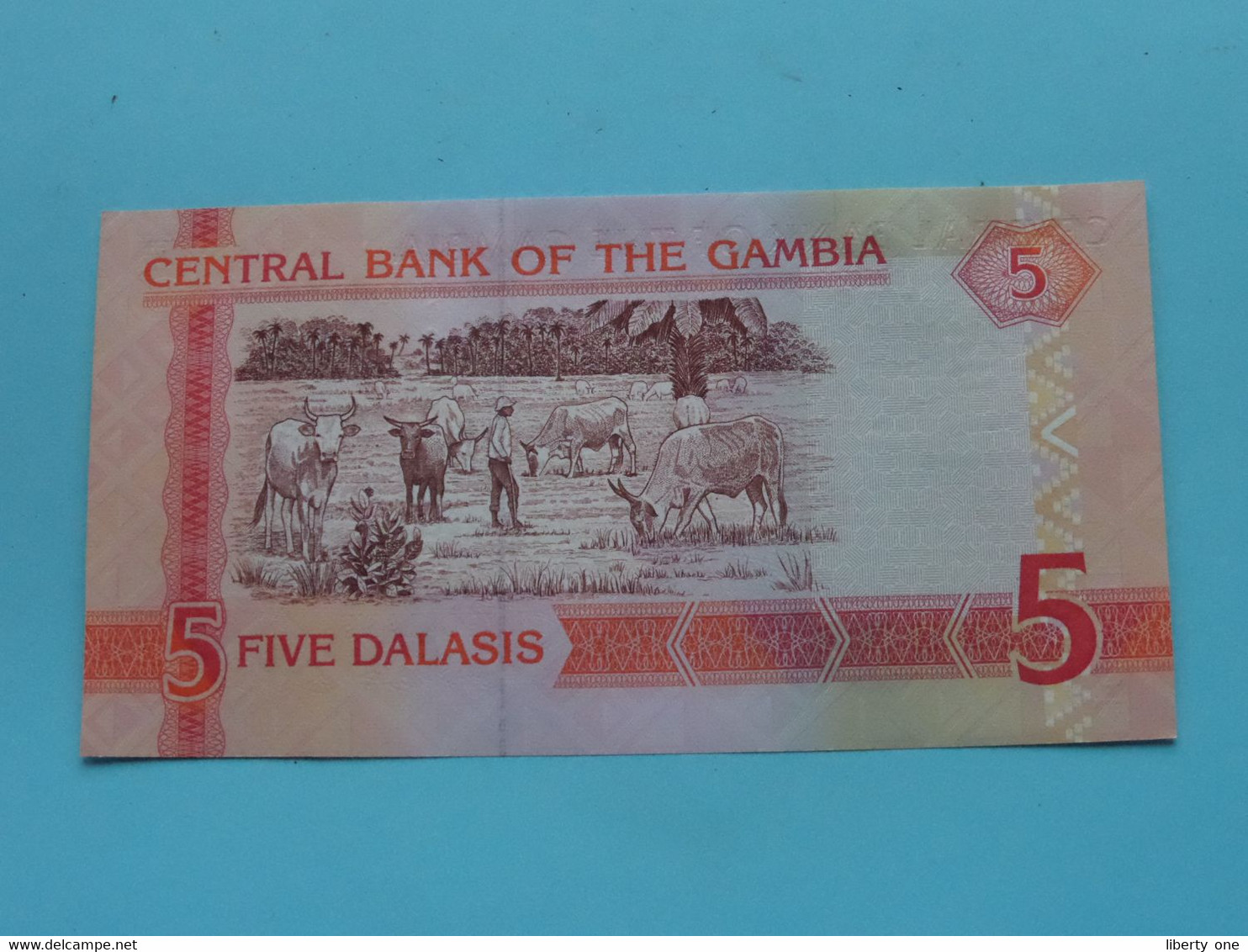 5 / Five DALASIS ( G6958755 ) Central Bank Of GAMBIA ( For Grade, Please See Photo ) UNC ! - Gambie