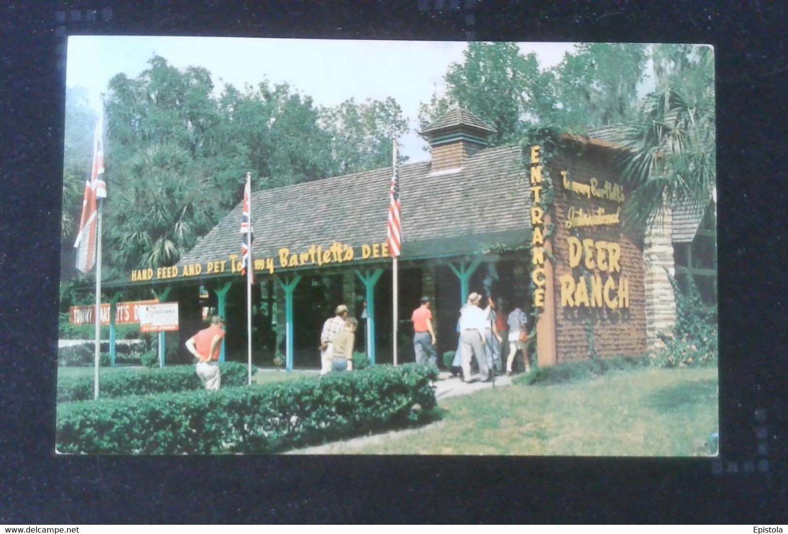 ► SILVER SPRINGS - Tommy Bartlett's Deer Ranch - 1960s - Silver Springs