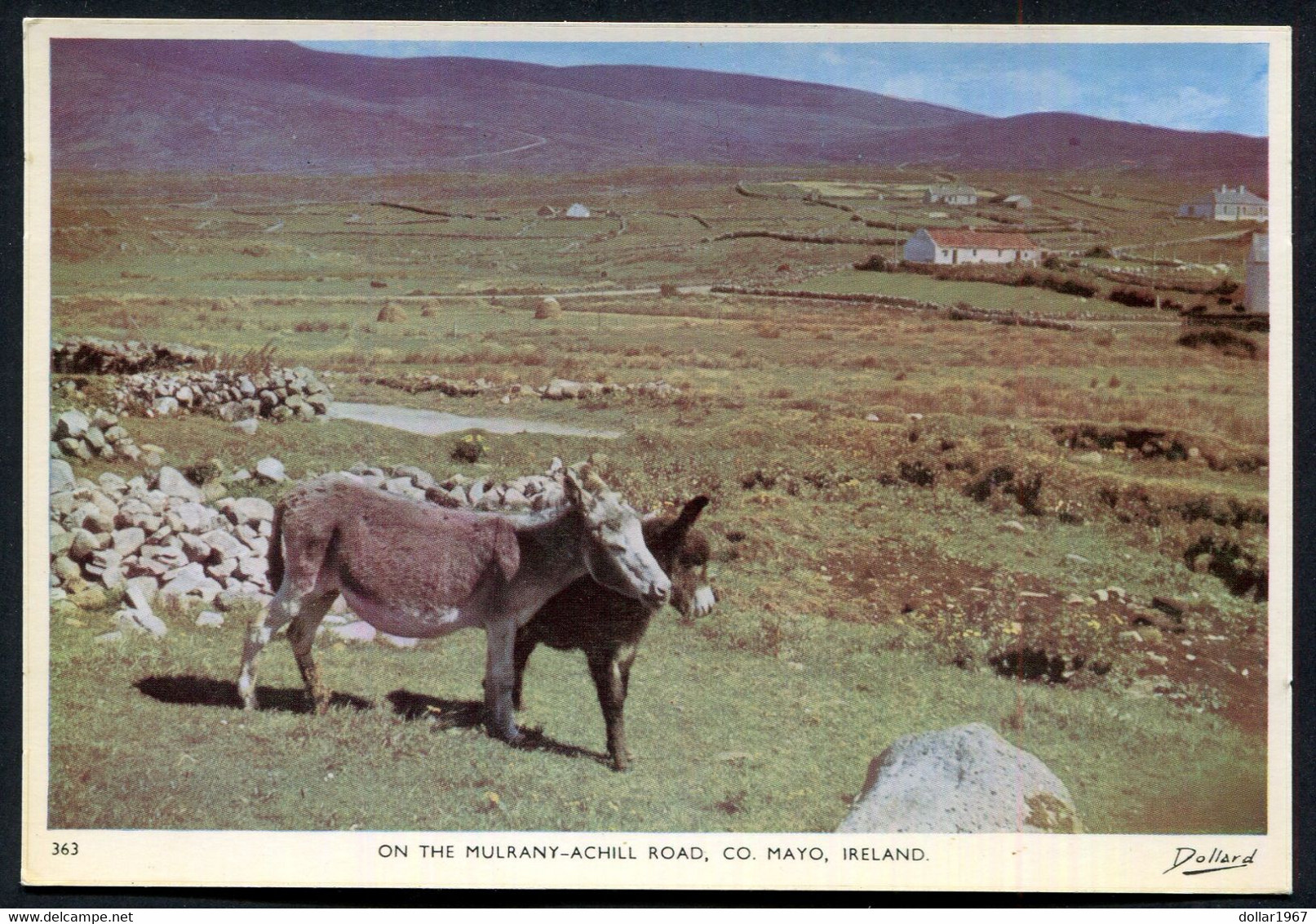 On The Mulrany - Achill Road , Co Mayo Of Mayo Abbey - NOT Used   - 2 Scans For Condition.(Originalscan !!) - Mayo