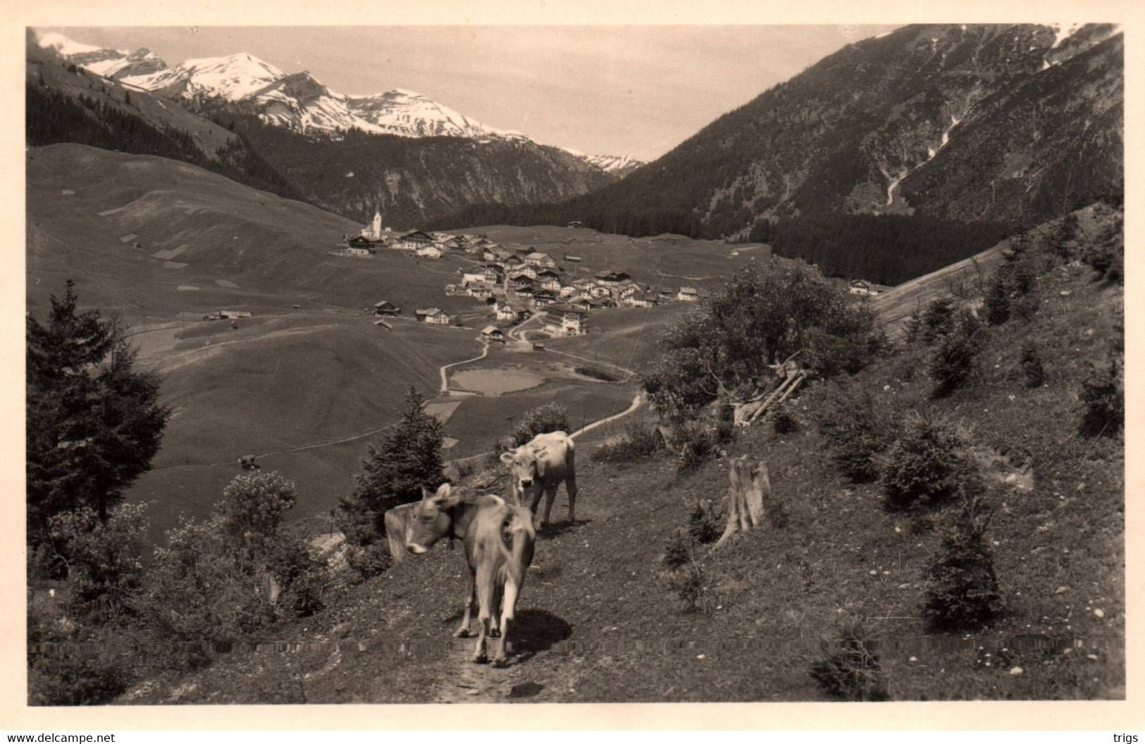 Berwang I. Tirol Mit Lechtaler Alpen - Berwang