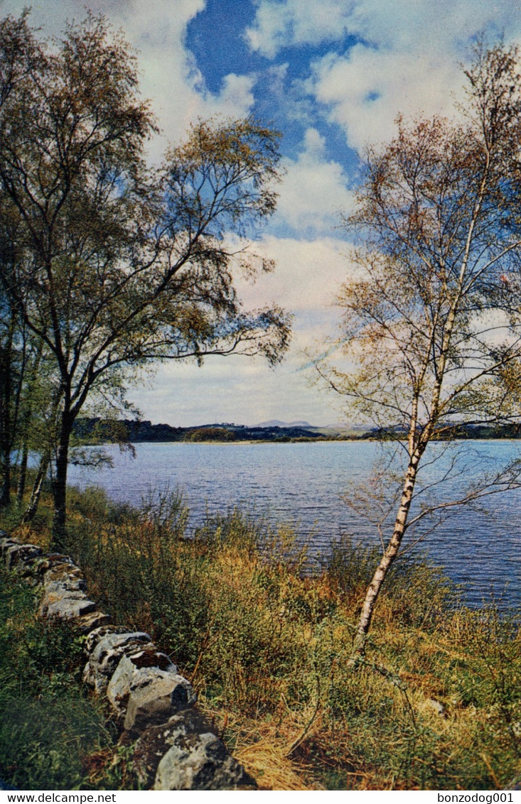 Loch Ken, Near Galloway, Kirkudbrightshire, Scotland - Kirkcudbrightshire