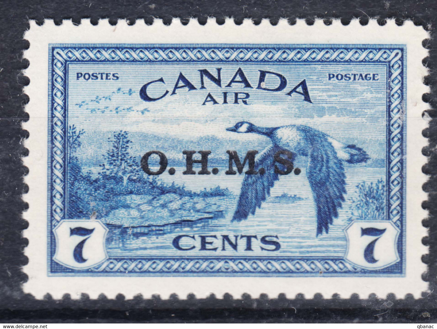 Canada 1949 Postage Due Airmail Duck Mi#10 Mint Hinged - Unused Stamps