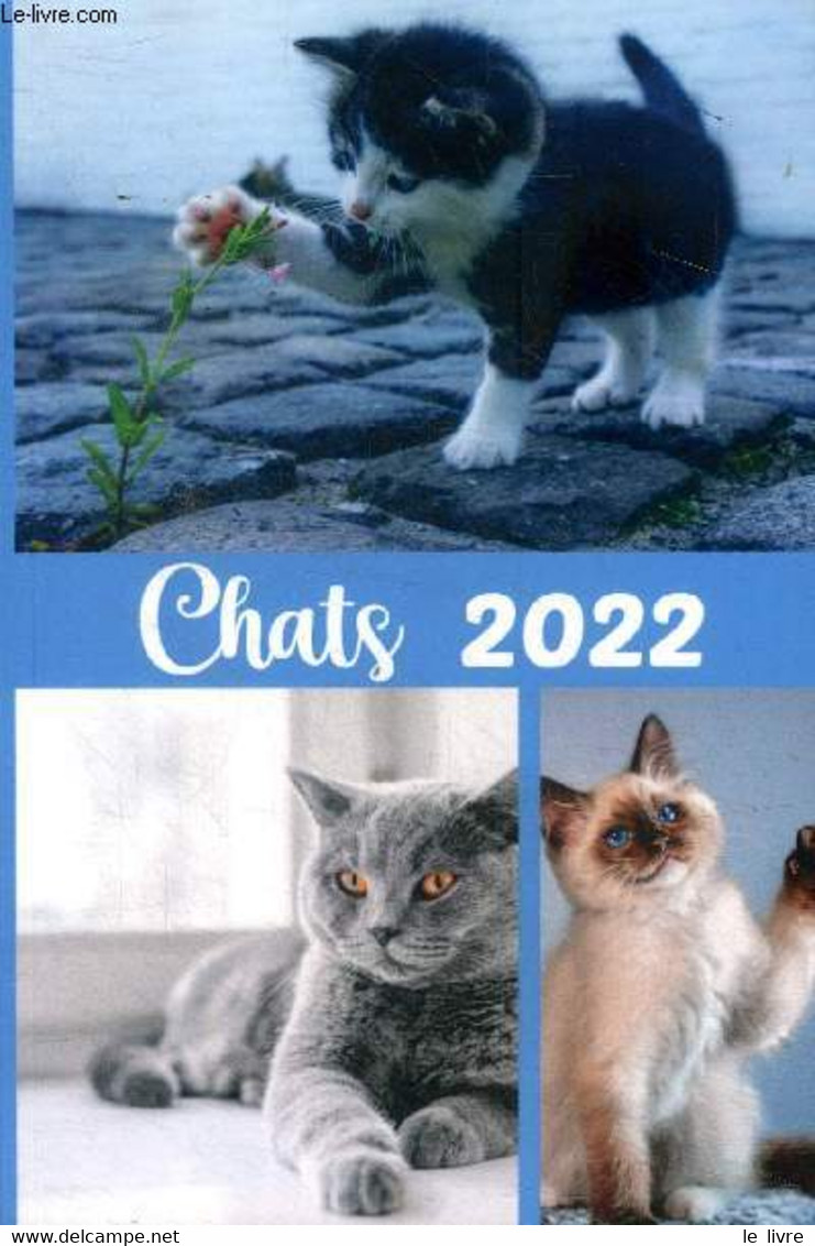 Chats 2022 Agenda - Collectif - 2022 - Terminkalender Leer