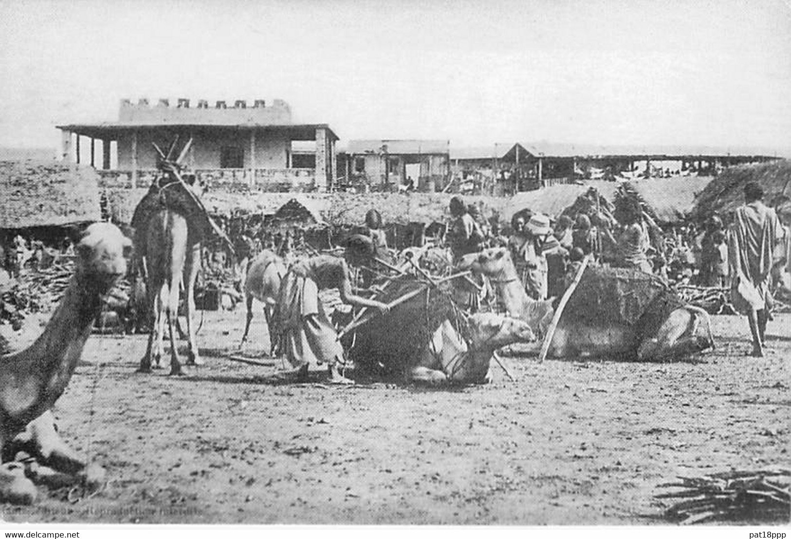 DJIBOUTI ( Série Djibouti Vers 1900 ) Station Des Caravanes - CPSM GF (Sté Djiboutienne D'édition - Réédition ) Afrique - Djibouti